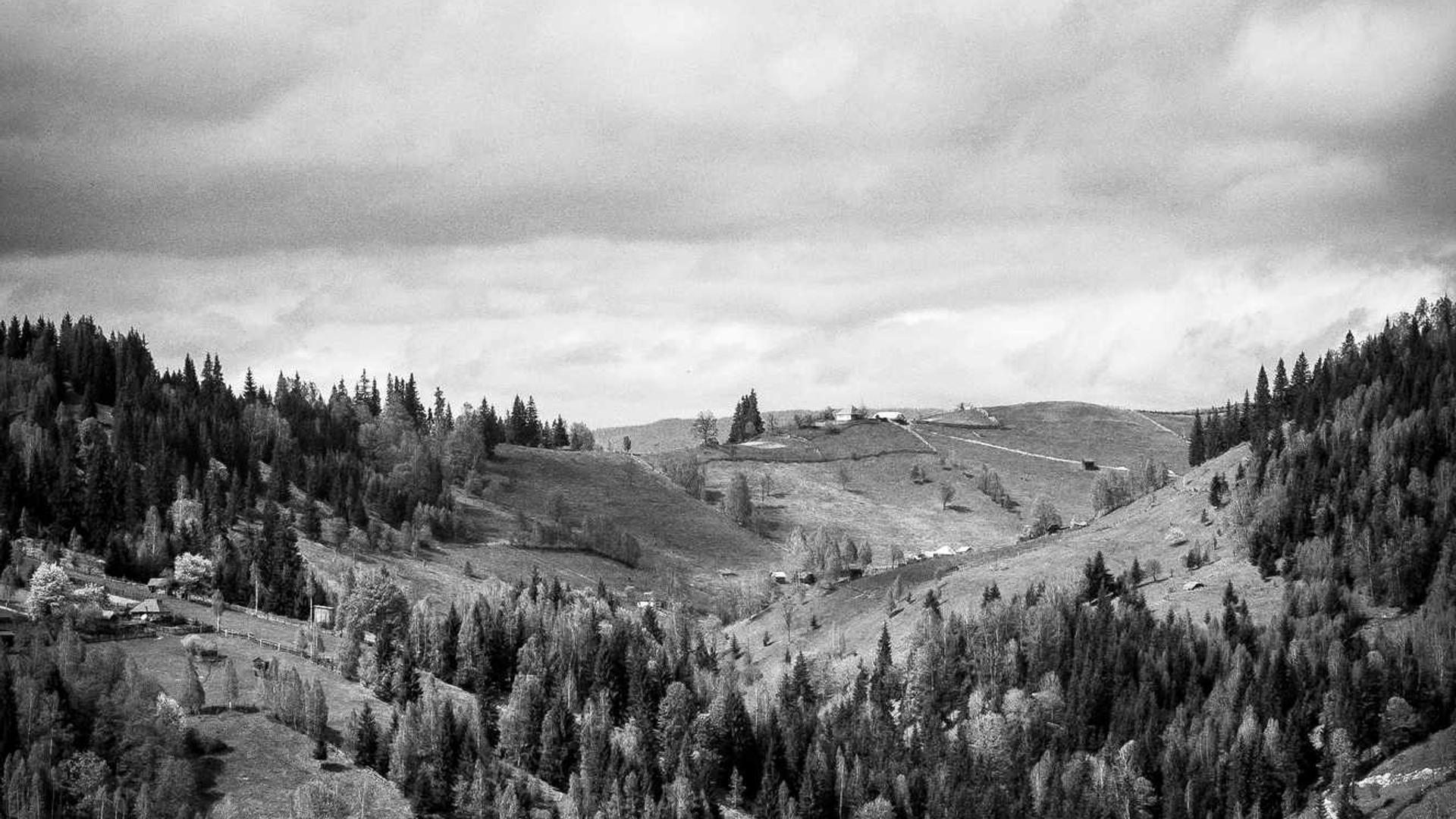 Omnis consequatur non quia.